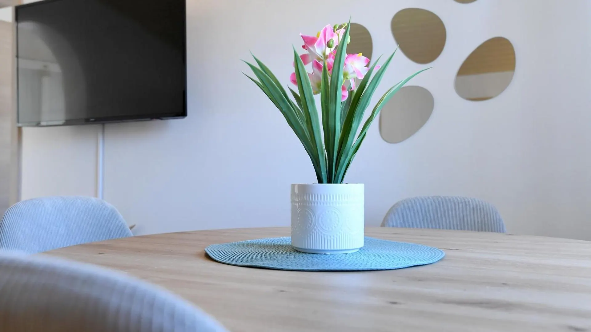 Apartment Rita Zadar Croatia